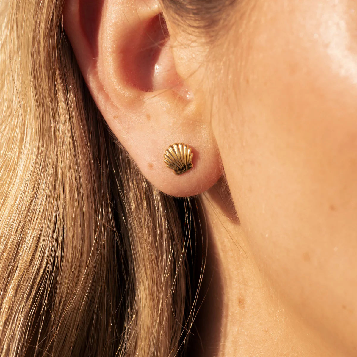 Boucles d’oreilles Coquillage