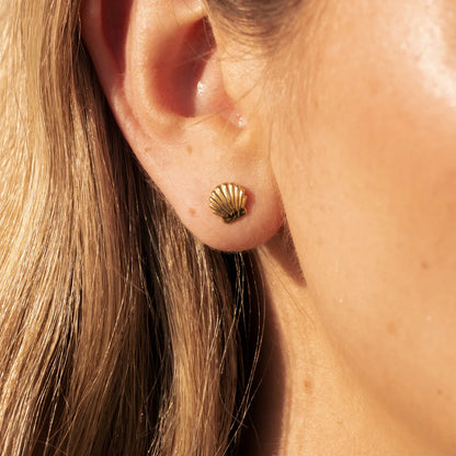 Boucles d’oreilles Coquillage