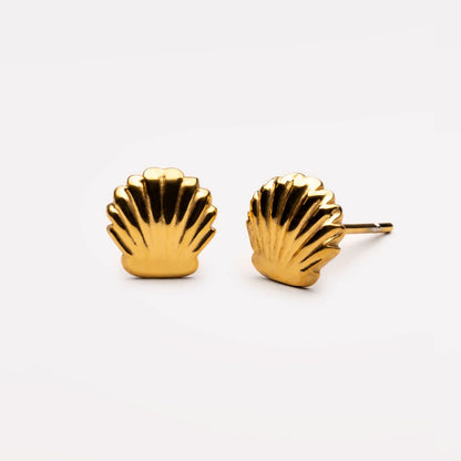 Boucles d’oreilles Coquillage